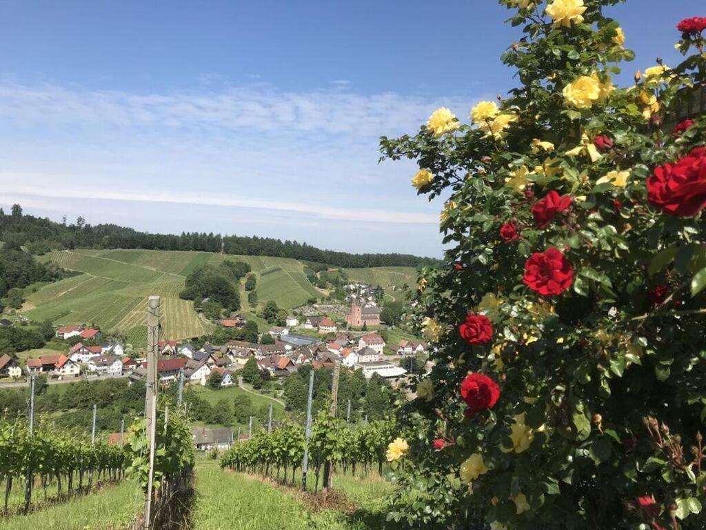 Azuria Black Forest Loft Villa Kappelrodeck Kültér fotó