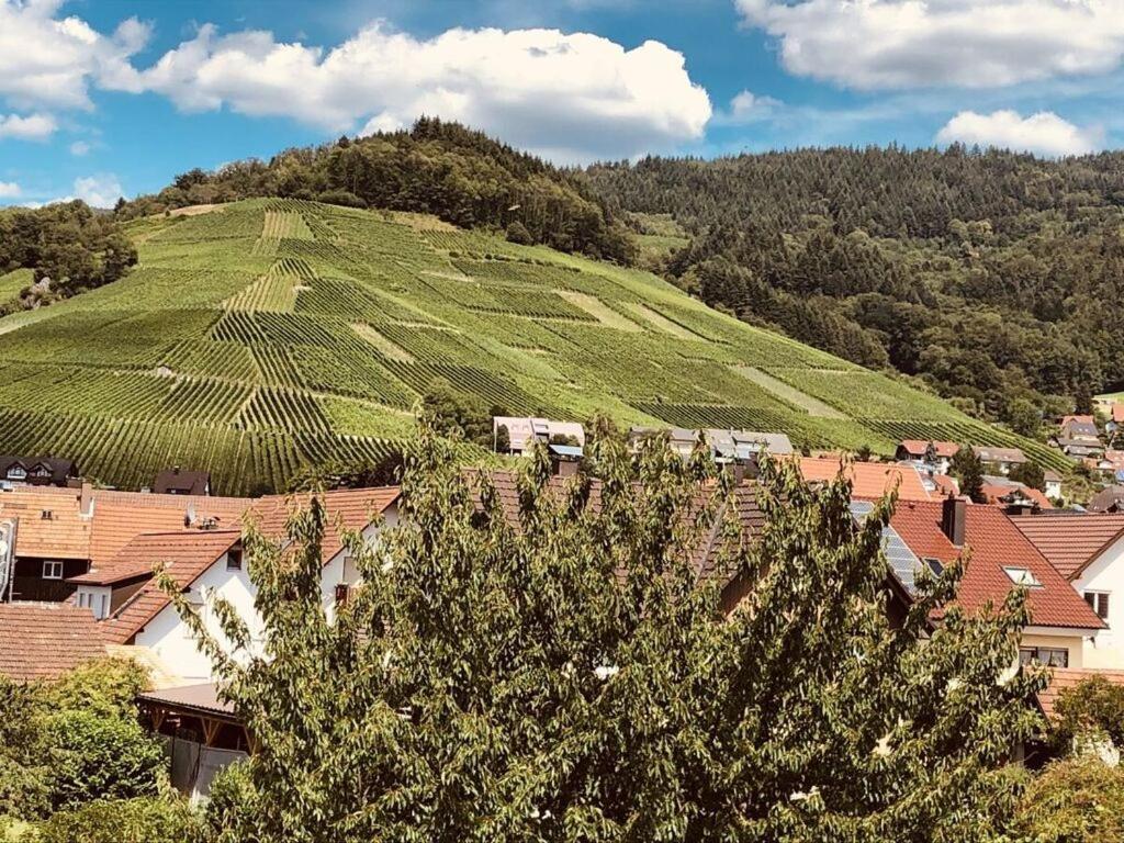 Azuria Black Forest Loft Villa Kappelrodeck Kültér fotó